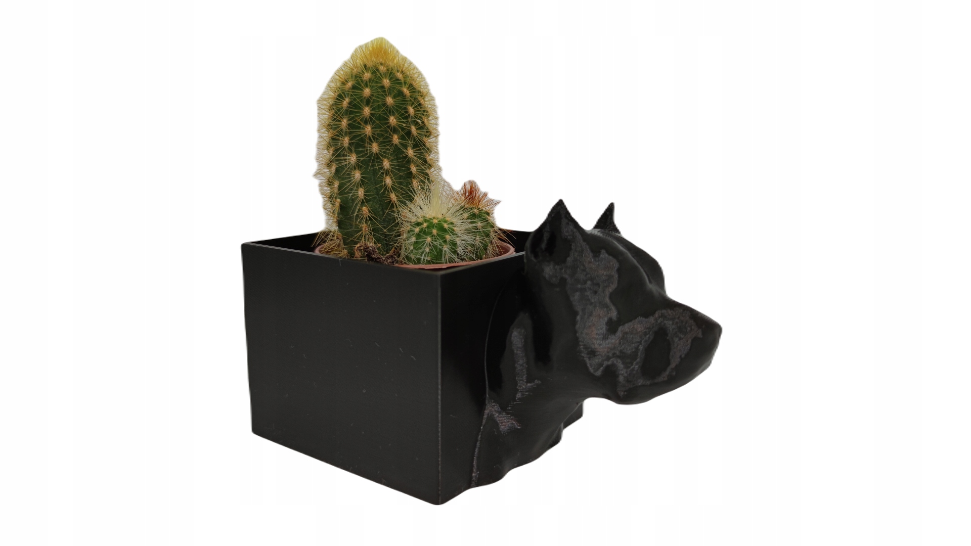 

Doniczka Oslonka Amstaff Sukulent Kaktus