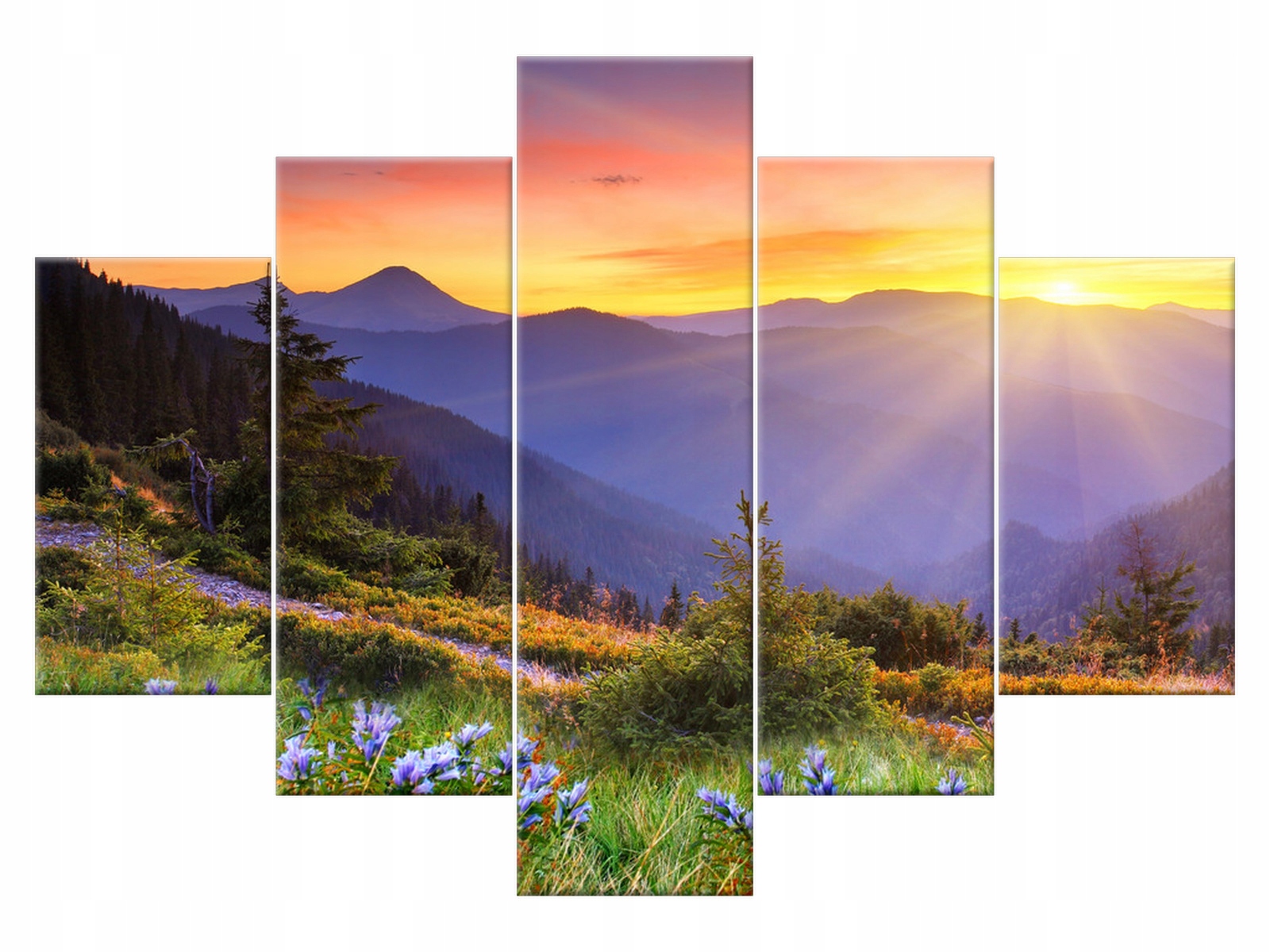 

Obraz Tryptyk Łąka w górach 150x105 Łąka 1868A_5H