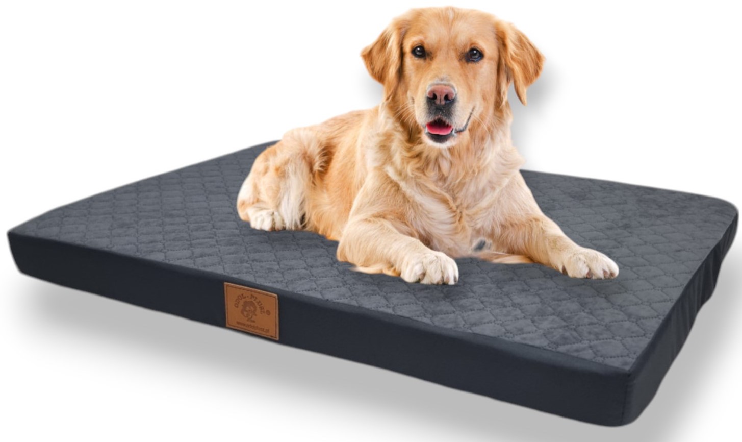 Levně Pelíšek Matrace Psa 80x60x7 cm. Velké Potah L Grafit