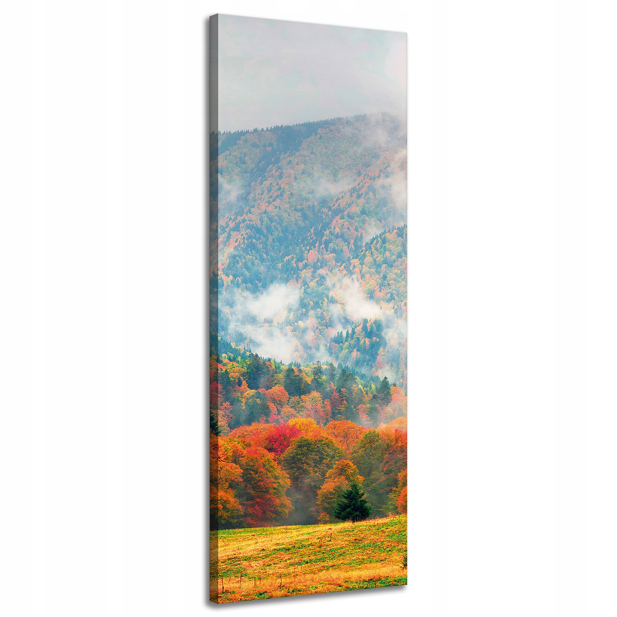 Obraz na plátně Hora Lesy Louky Mraky Příroda 40x120 cm