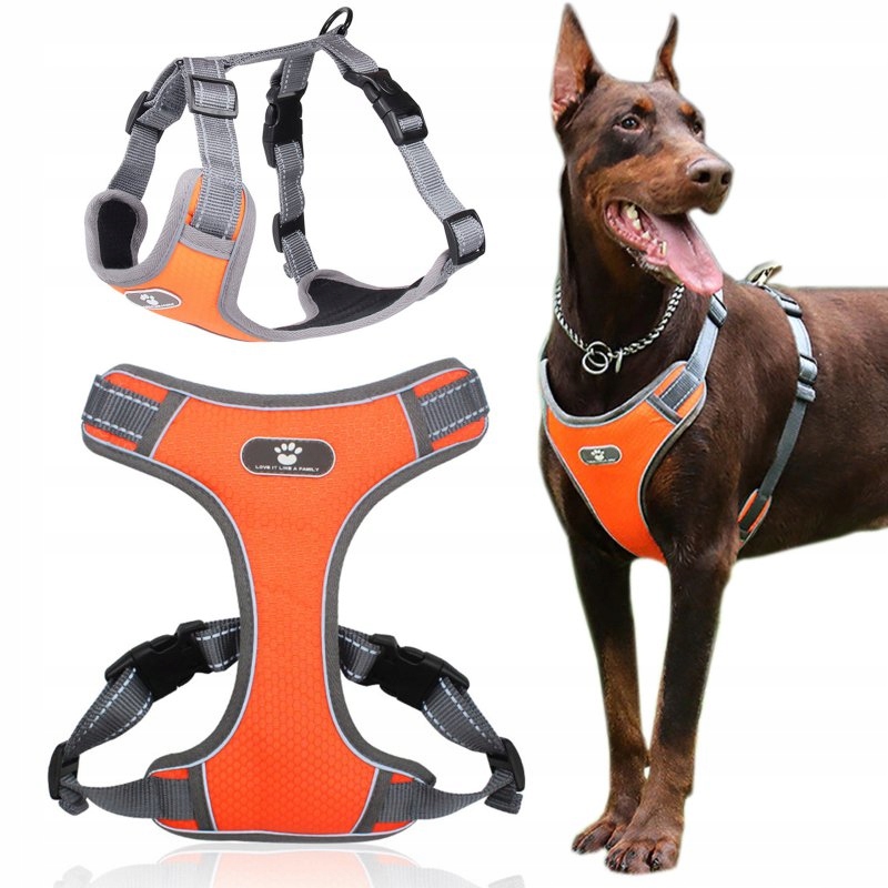 Postroj vychádzkový tréning pre psa oranžový XL