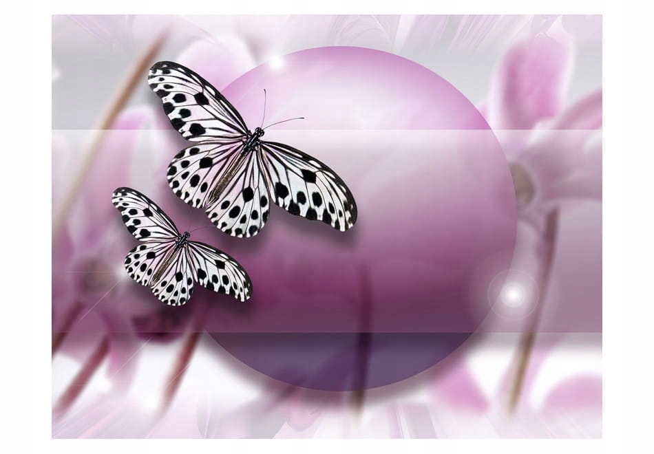 

Fototapeta - Fly, Butterfly! - 250X193