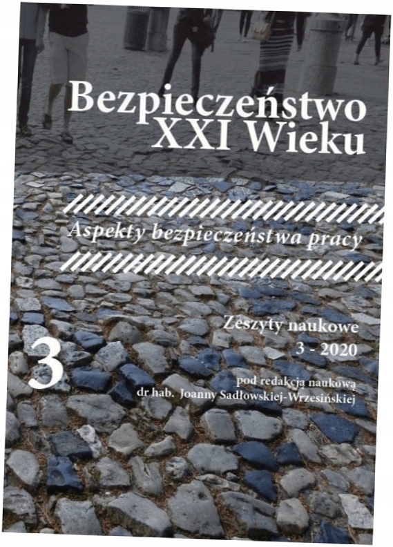 Bezpieczeństwo XXI Wieku