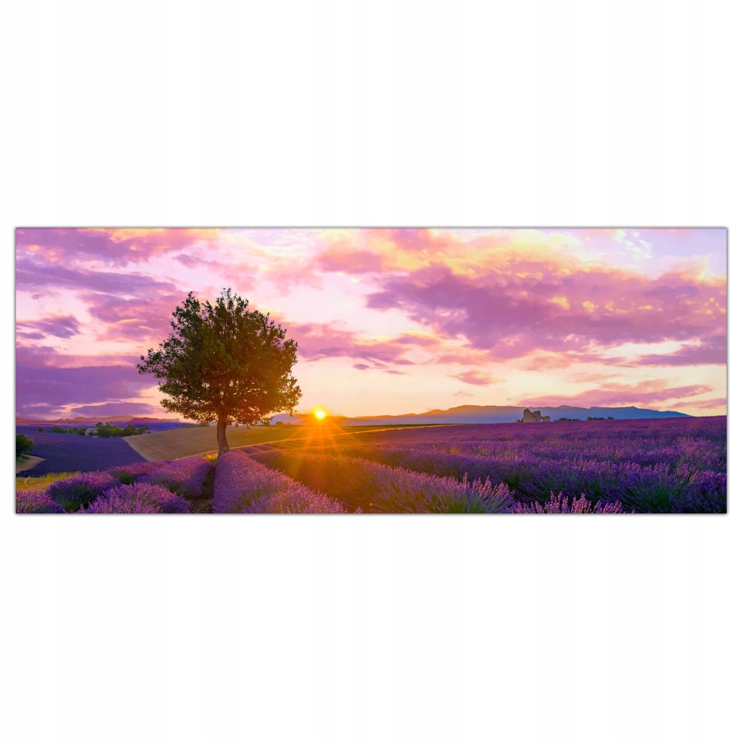 

Obraz Szklany Foto-obraz Pole Lawenda Łąka 125x50