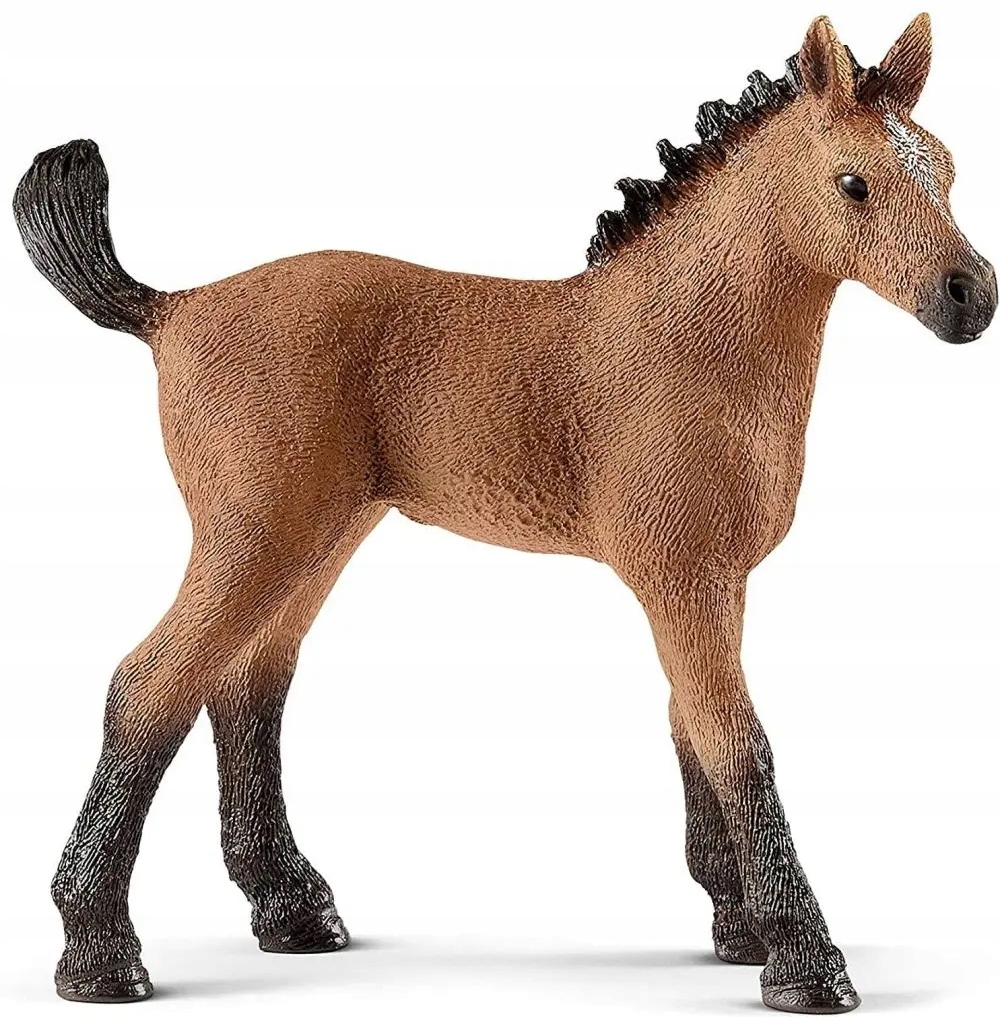 

Schleich 13854 Koń Źrebię Rasy Quarter, Źrebak