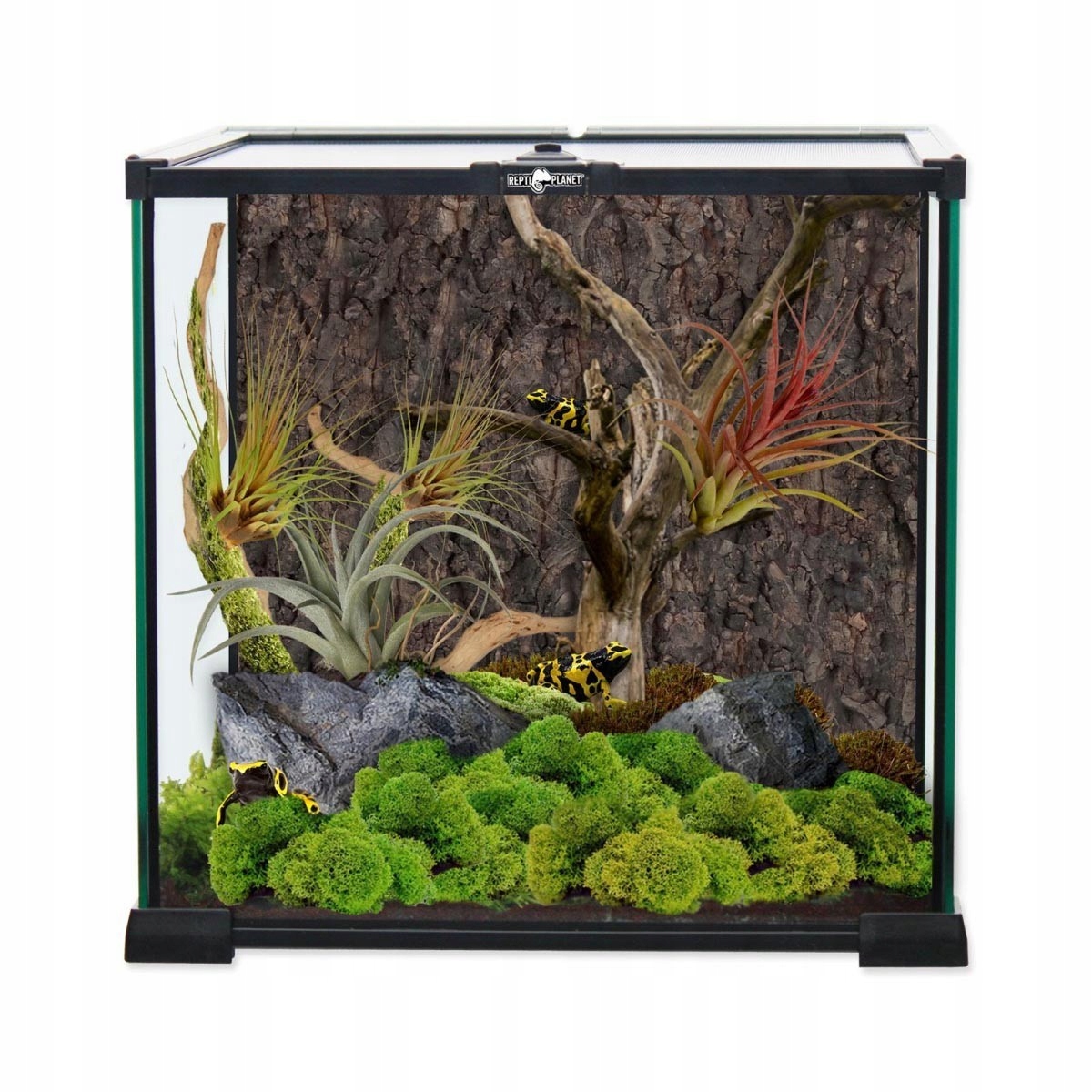 Terrarium szklane 30x30x30 cm Repti Planet