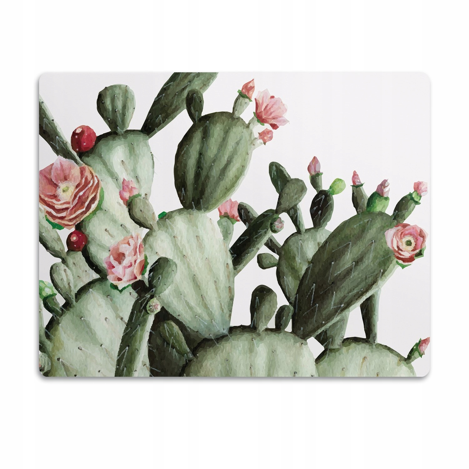 Levně Pro kočky podložka pod záchod Kaktusy přiblížení 60x40 cm