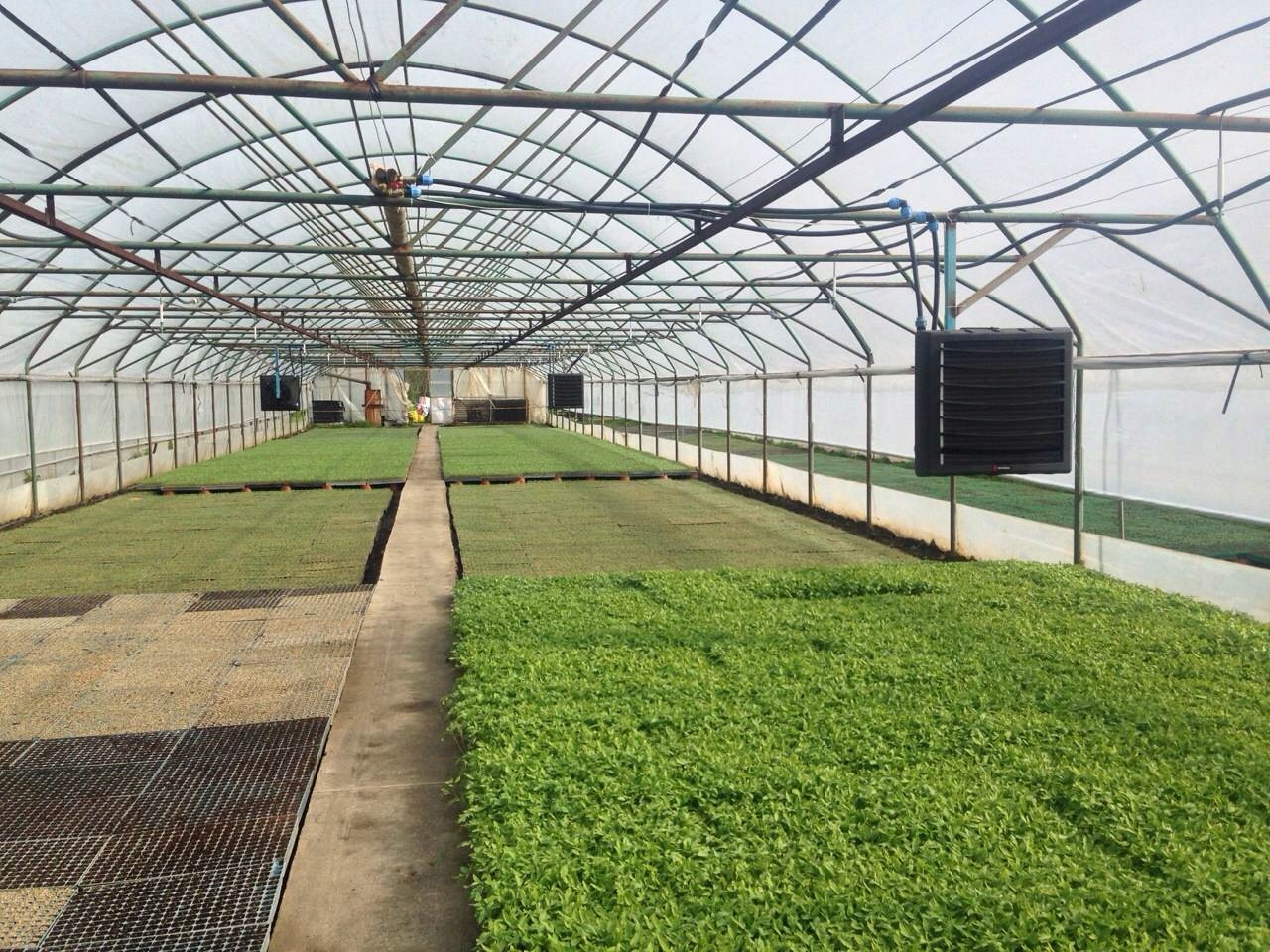 Nagrzewnica wodna Reventon HC50 65,8kW Model HC50