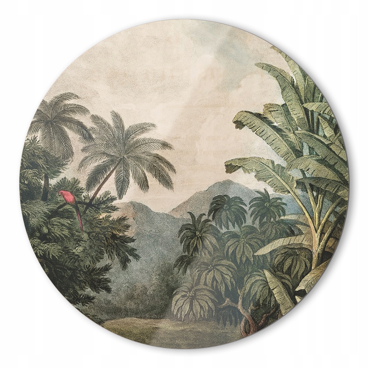 Sklenený obraz do obývačky Tropická krajina 50 cm