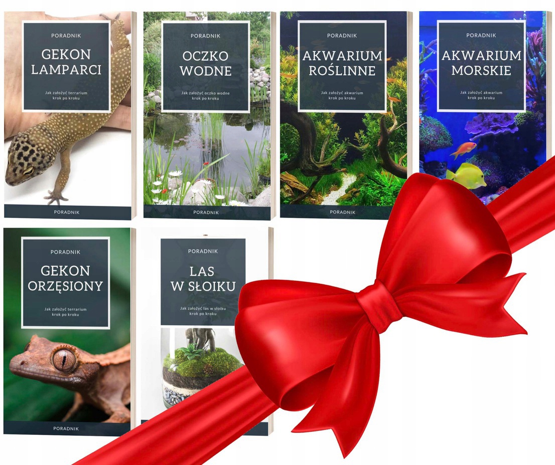 PONTEC LED 3 MEGA ZESTAW OŚWIETLENIA LED Stan opakowania oryginalne