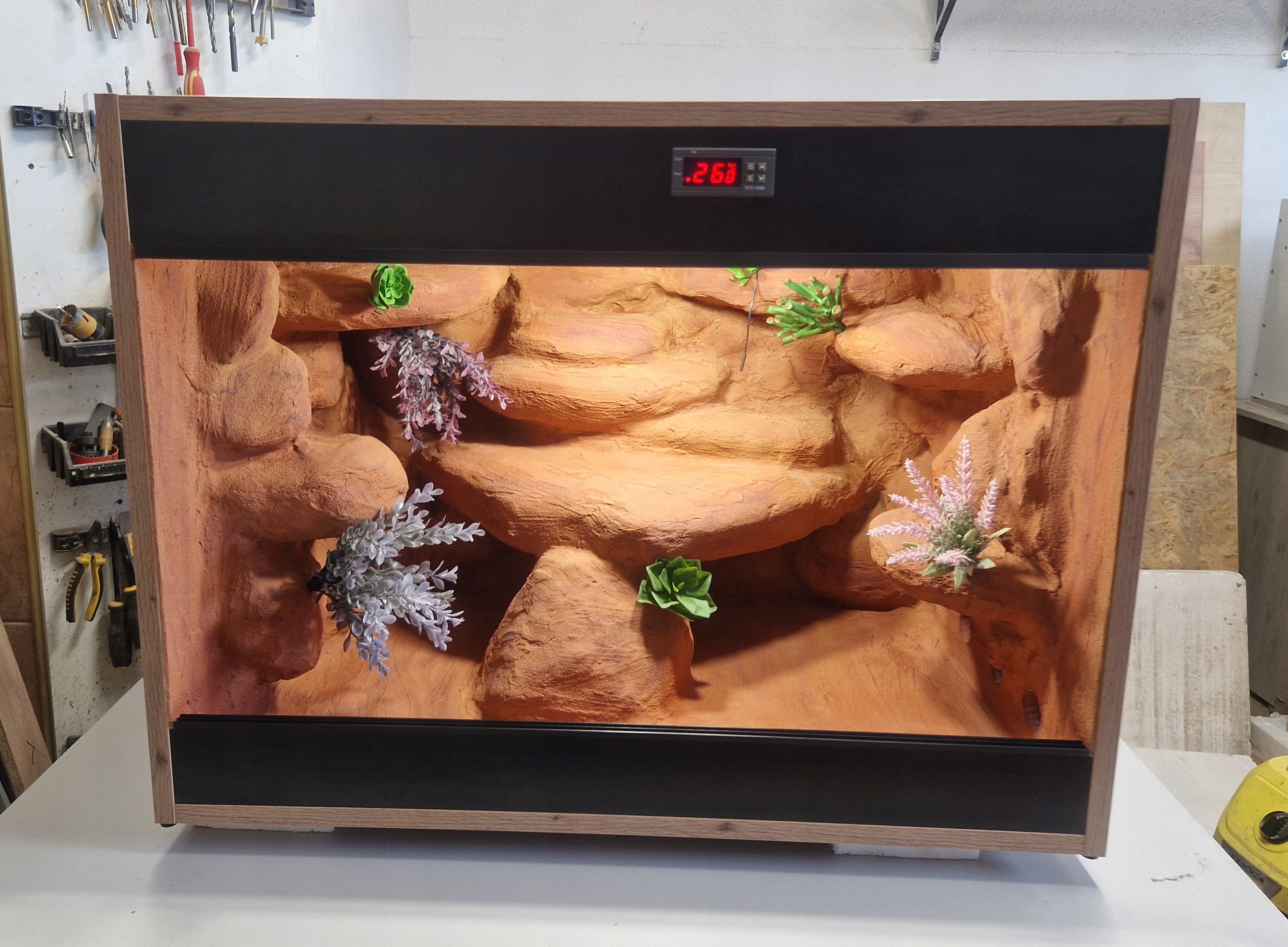 Hotové Terárium 80x54x60 Pro Gekona, Trpasličí Agámu K Dispozici Ihned