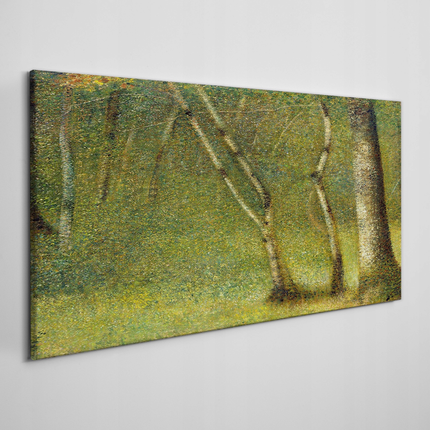 

Nowoczesny obraz na płótnie Las Seurat 100x50 cm