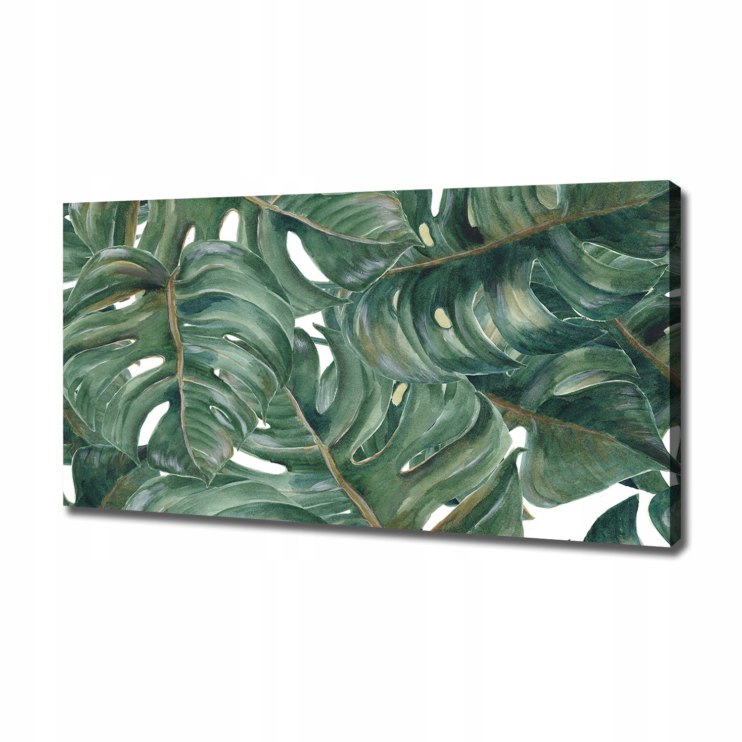 

Foto obraz canvas na ścianę Monstera 120x60 cm