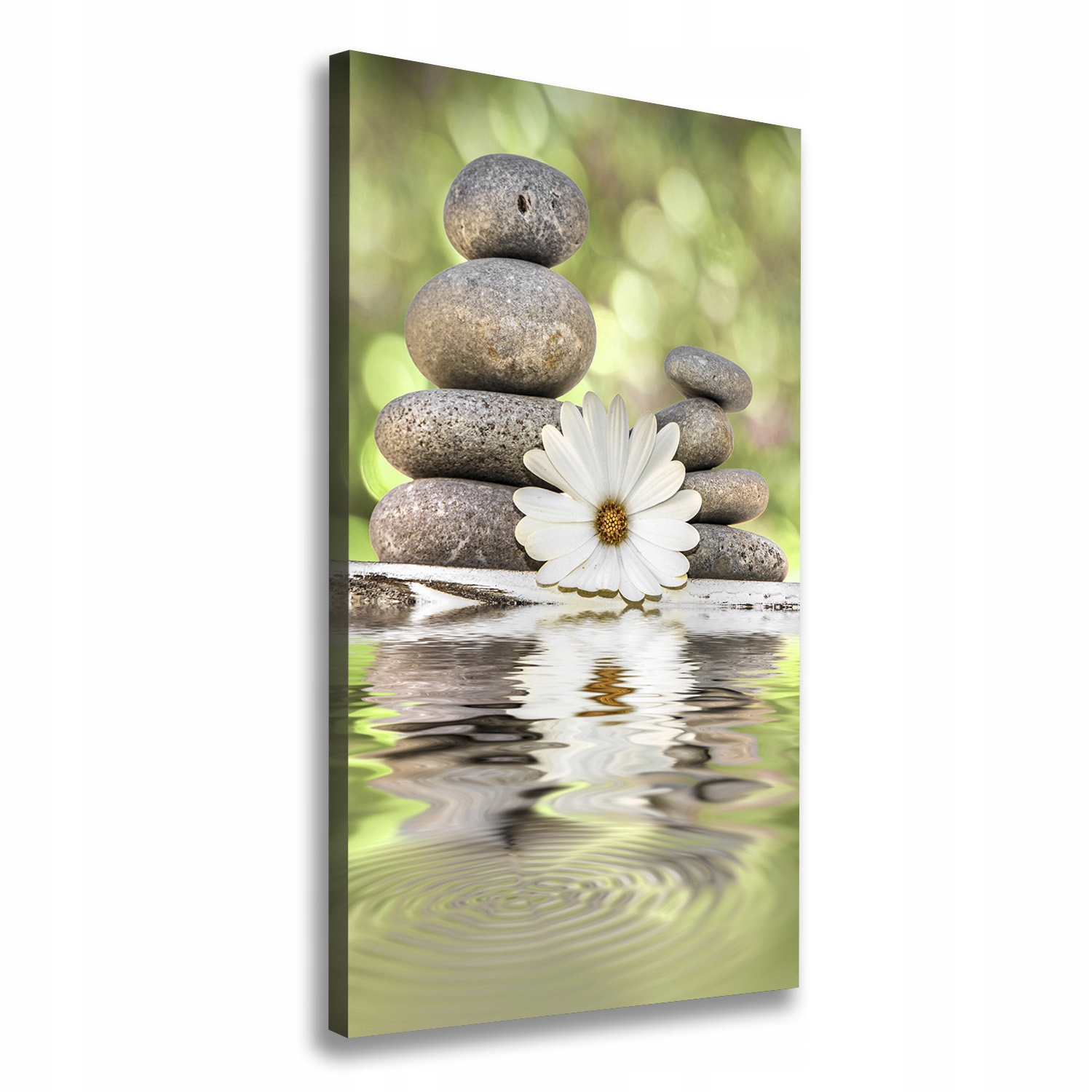 

Foto obraz na płótnie Kamienie i kwiat 60x120 cm