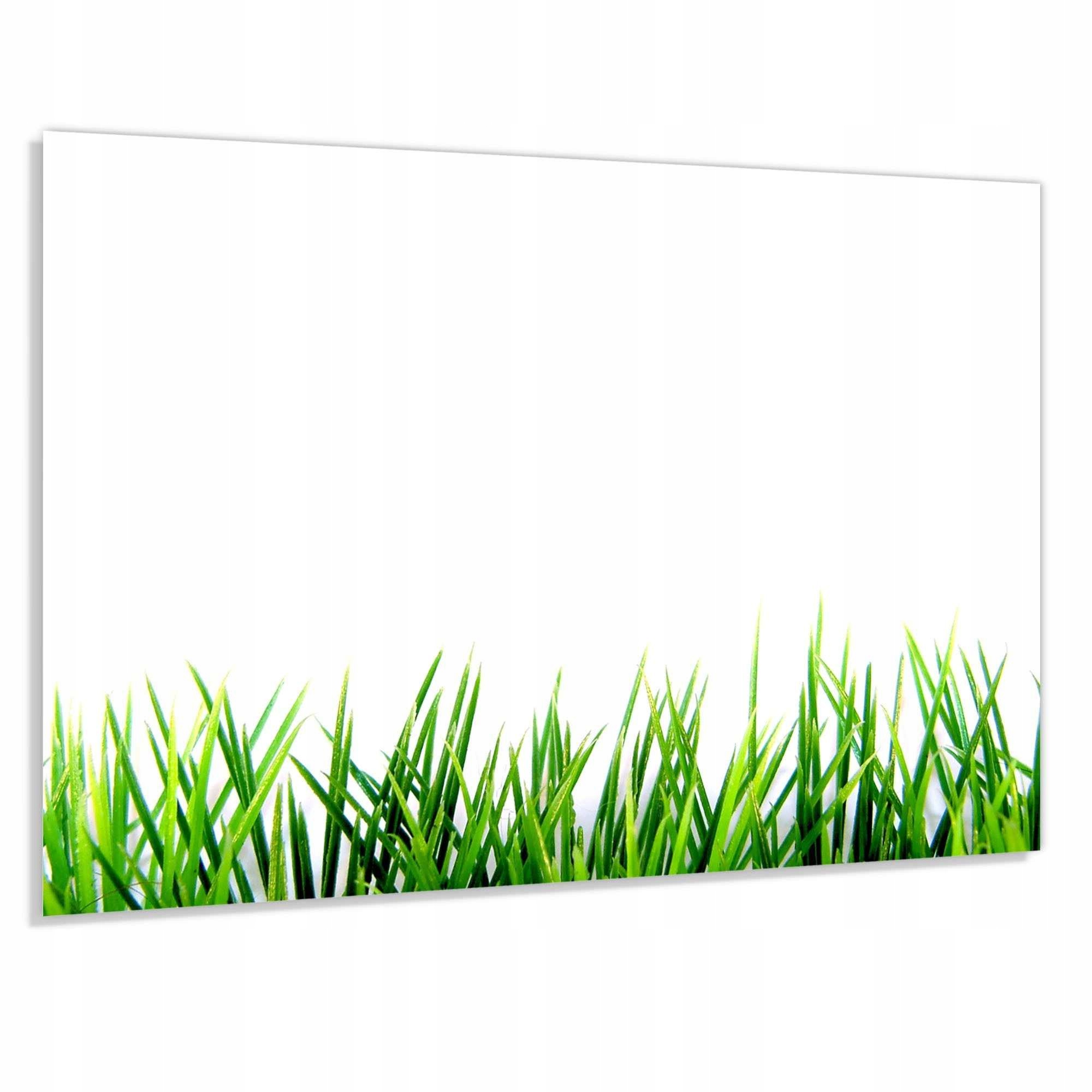 Panel szklany hartowany 90x70 Zielona trawa + KLEJ