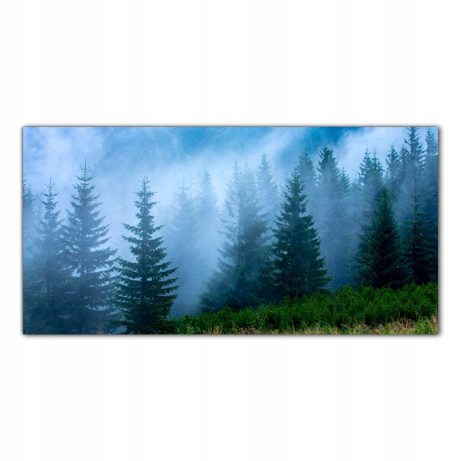 

Obraz na szkle Foto Mgła Góra Las Natura 100x50