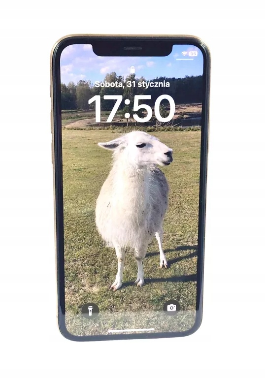 Смартфон Apple iPhone 11 Pro 4 ГБ / 256 ГБ 4G (LTE) злотый