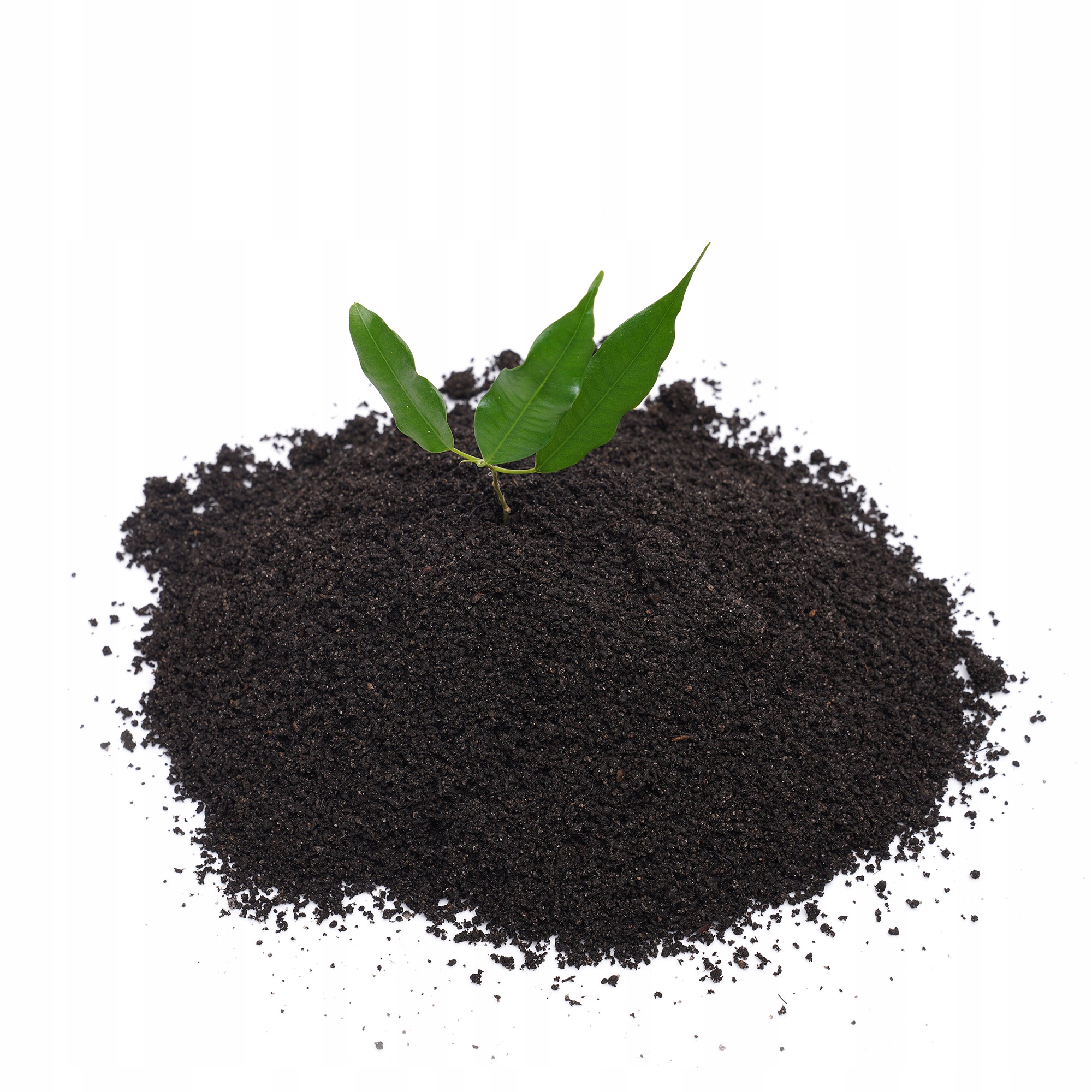 

Wermikompost 5L Biohumus Naturalny Nawóz Organiczn