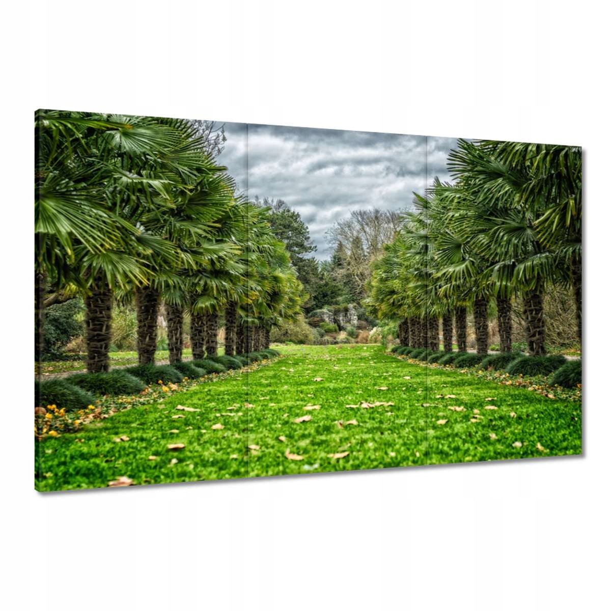 Obrazy 120x80 Krajina