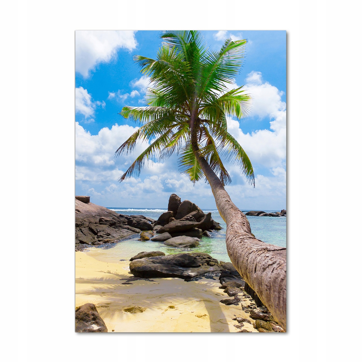 

Foto obraz szkło akrylowe Tropikalna plaża 70x100