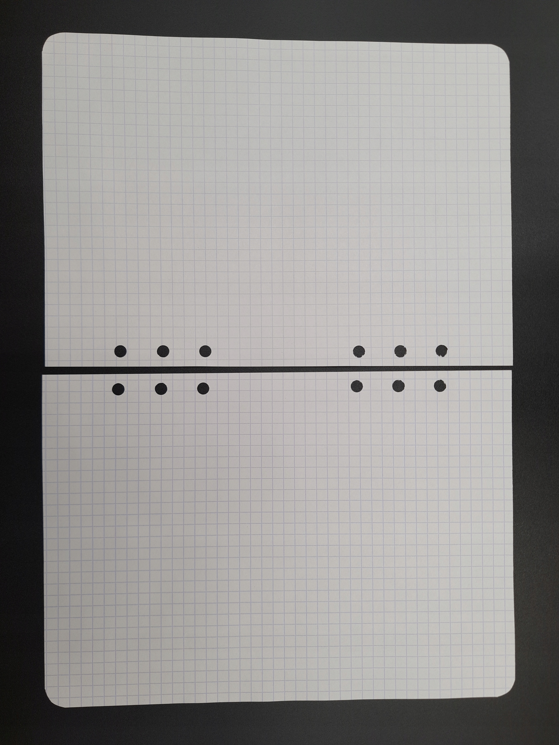 Notes pasieczny / WKŁADY - notatnik 6 RINGÓW Producent Apicultura