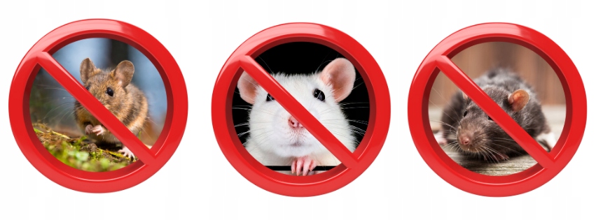 RATMIX SILNA TRUTKA PASTA NA MYSZY SZCZURY 5 KG Zastosowanie przeciwko myszom