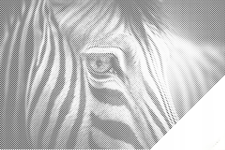 Tečkování Dotting Painting Zebra Zvířata Divoká zvířata Velký 80x120 cm