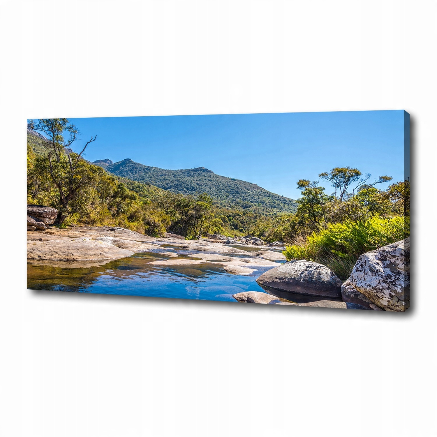 

Foto obraz na płótnie Rzeka w lesie 125x50 cm