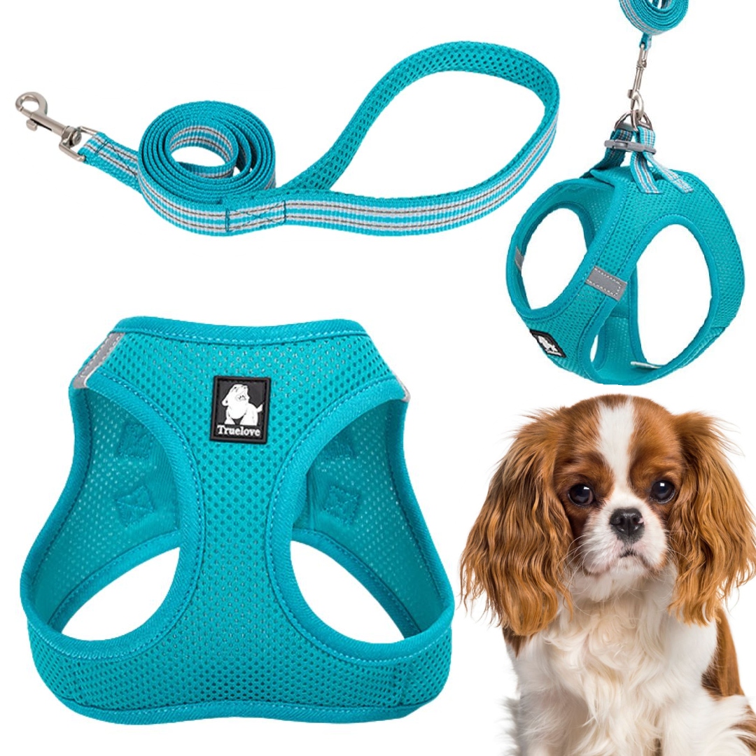 Levně Postroj Vodítko Pro Malého Psa Kočku Lehké Truelove Mini Modré M Sada