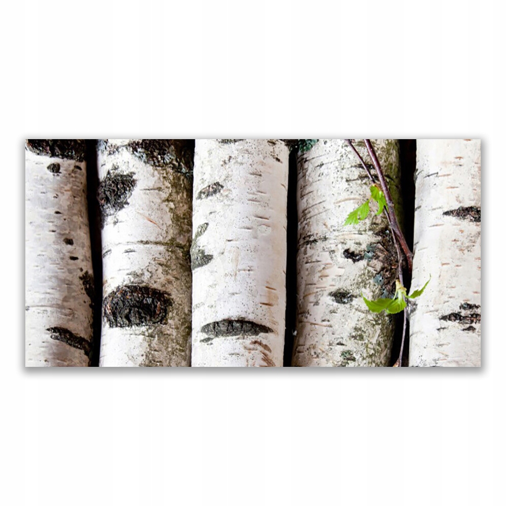 

Fotoobraz ścienny z grafiką 120x60 Drzewa Natura
