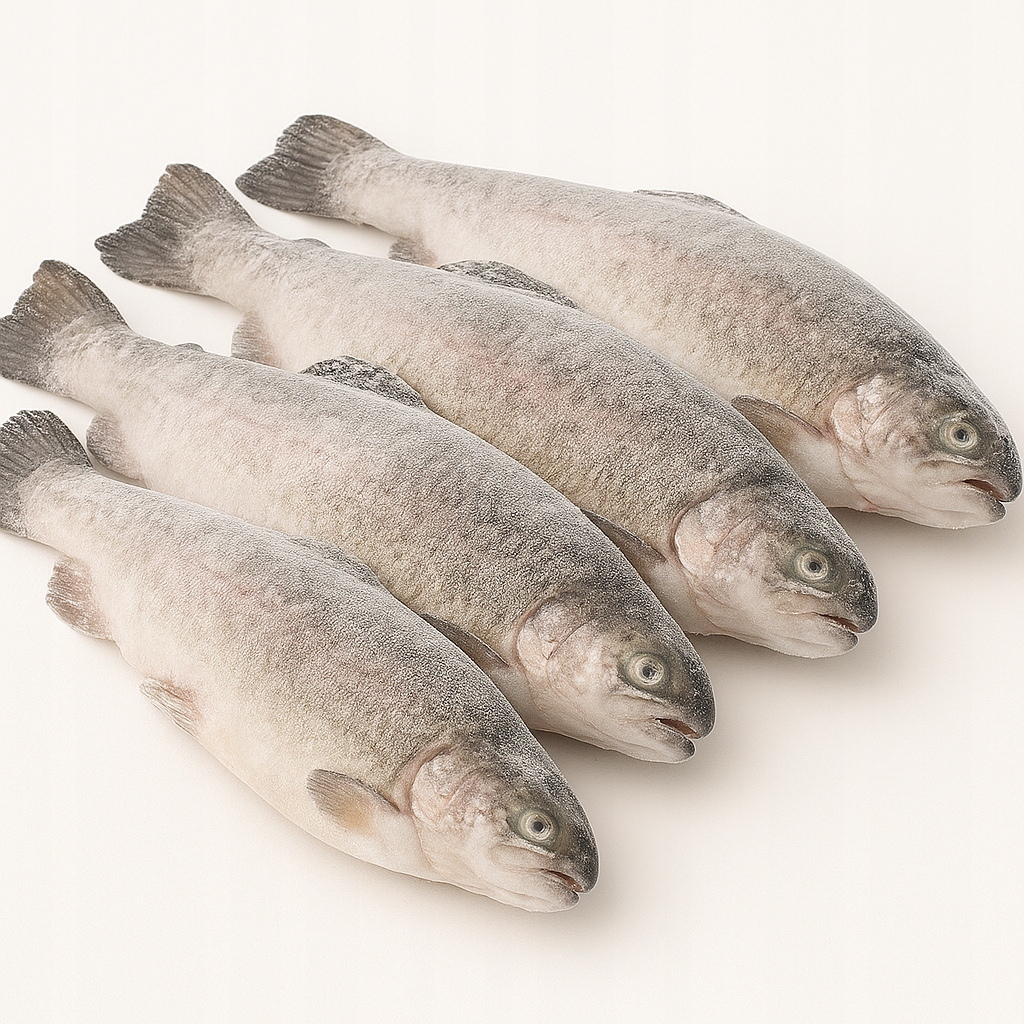 Pstrąg surowy patroszony mrożony tusza bogaty w omega-3 2kg Suchy lód