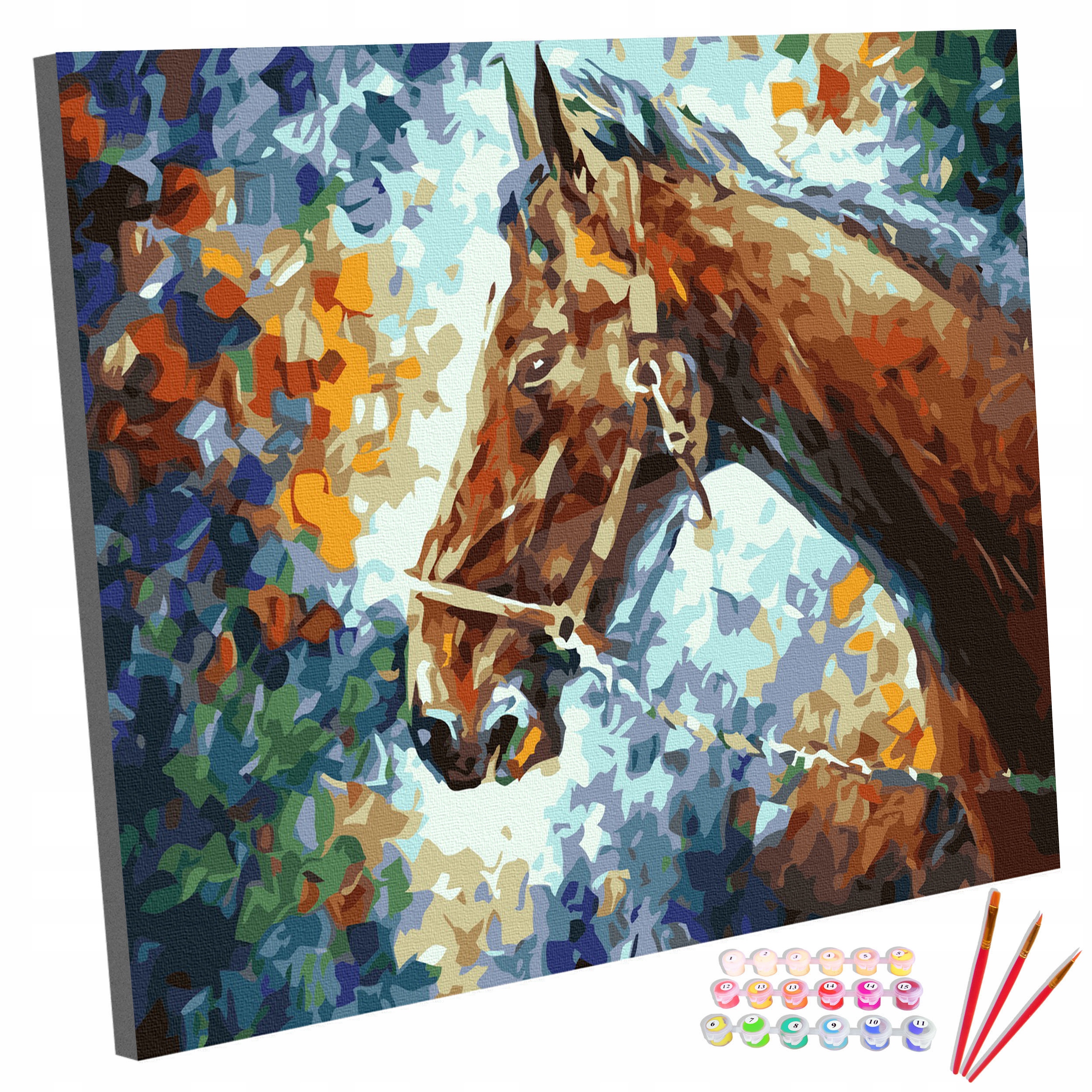Sada Obraz na malování Malování Podle Čísel Na rámu Kůň 40x50cm