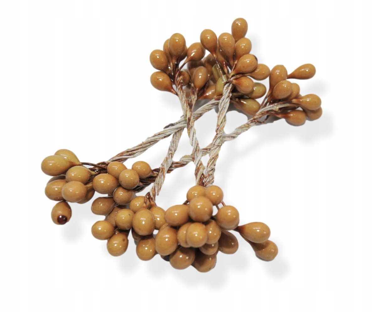 

Pączki Pręciki Kwiatowe 100 szt cappucino Duże