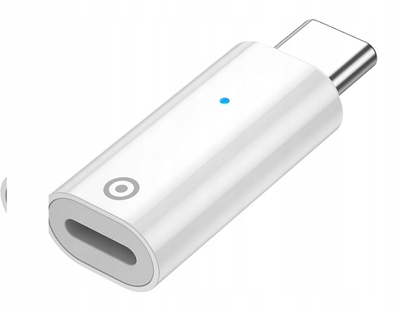 iPadアクセサリー ApplePencil 楽天市場】apple pencil アクセサリーの通販