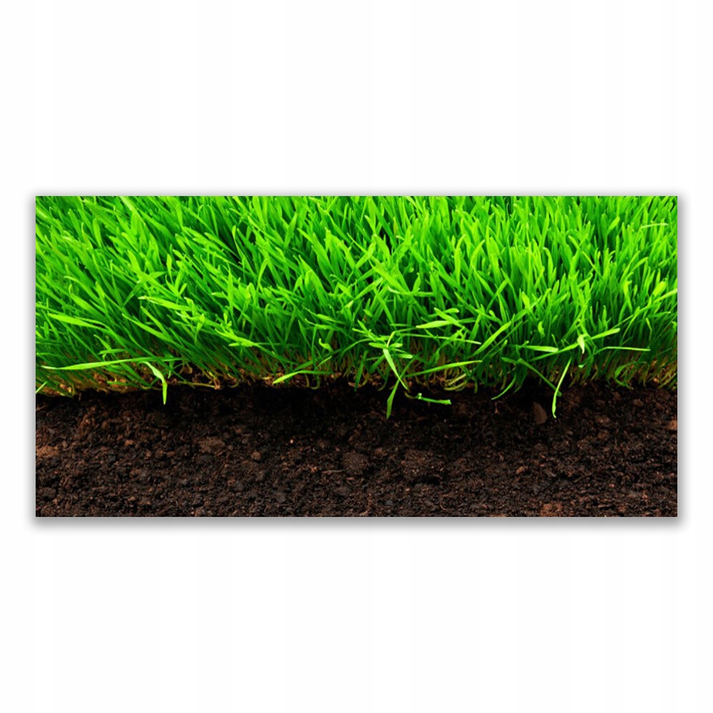 

Fotoobraz nowoczesny 140x70 Trawa Natura Roślina