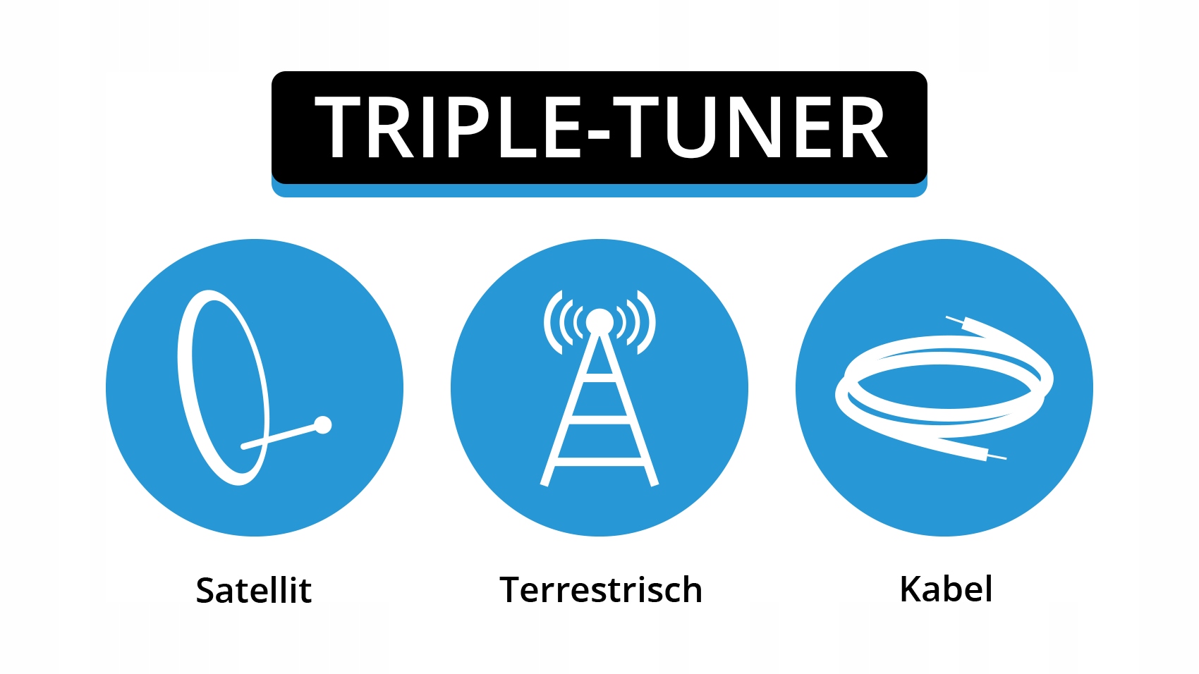 TELEWIZOR MEGASAT ROYAL III 19" SMART TV Format HD HD Ready
