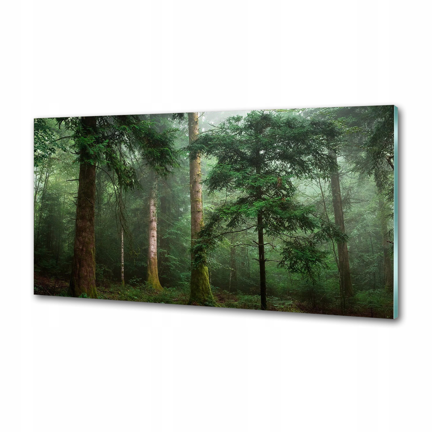 Panel dekor sklo Hmla v lese 100x50 cm Lepidlo
