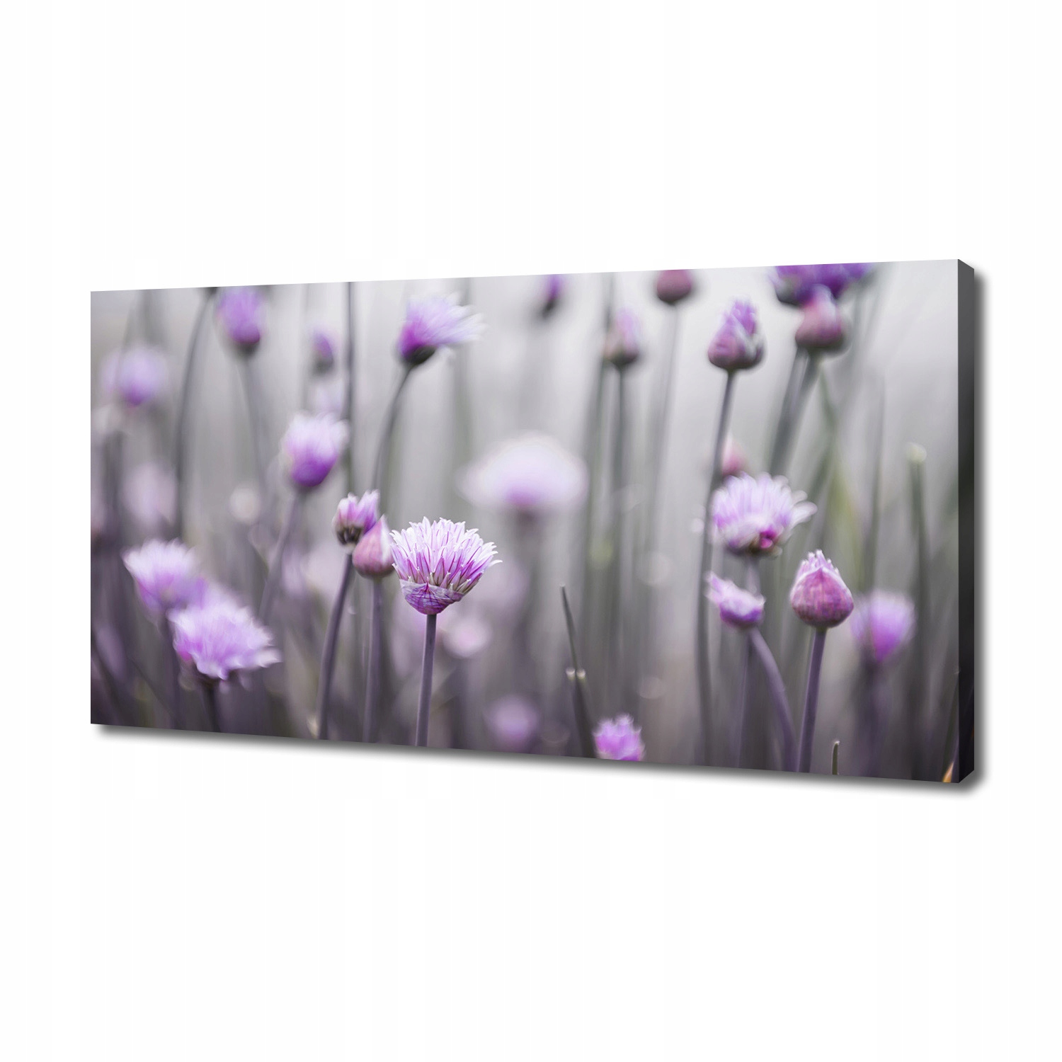 

Foto obraz na płótnie Kwiaty szczypiorku 140x70 cm