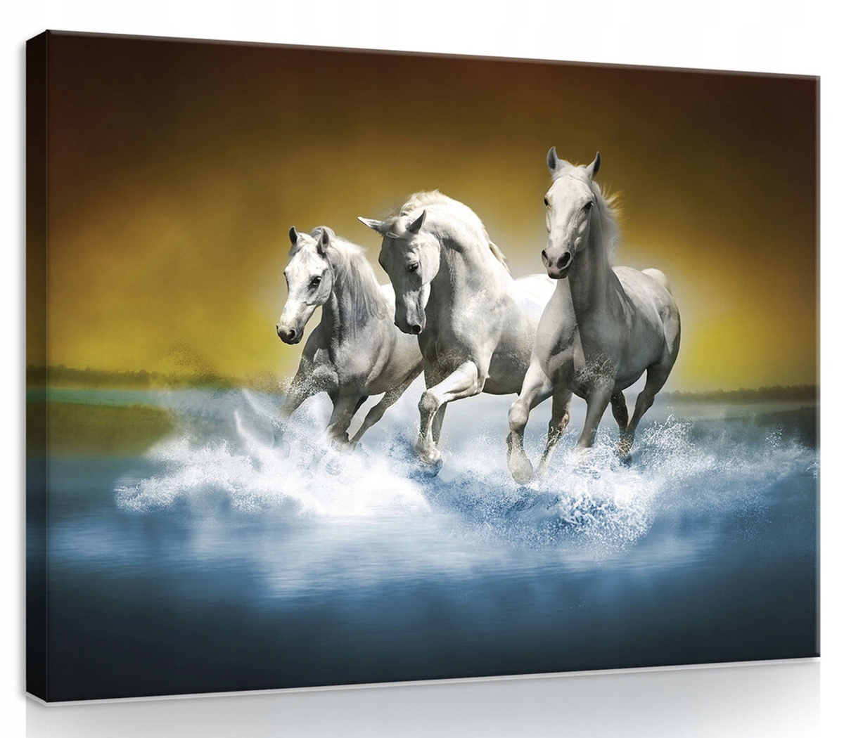 Obraz Na Plátně Canvas 80x60 Koně Cválající Ve Vodě