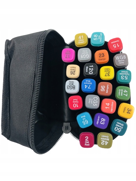 PRO TOUCH MARKERY PISAKI 24 kolory DWUSTRONNE Rodzaj flamastry