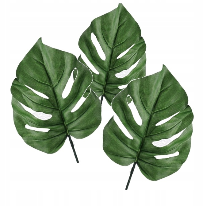 

LiŚĆ liście sztuczne gałązka stroika Monstery 3szt