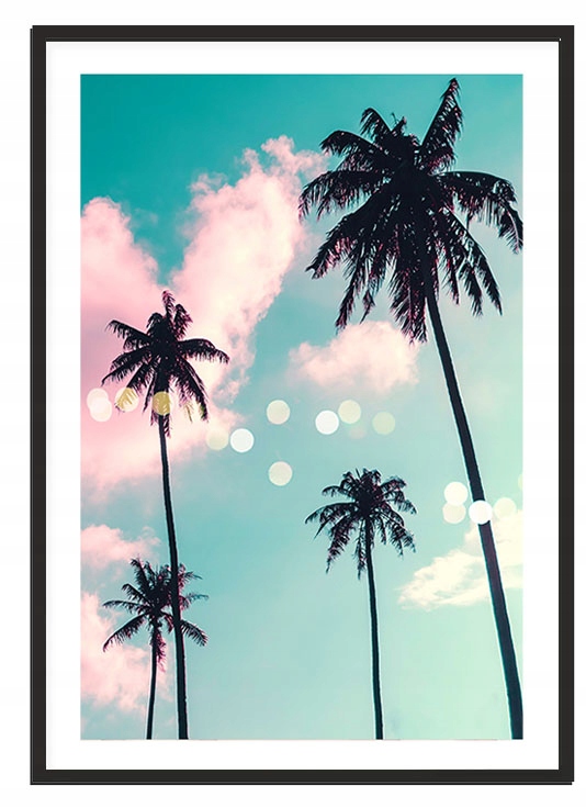 

Obraz Plakat W Ramie 53x73 cm Palmy P2103