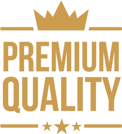 KAMERA COFANIA SONY 1280p DACIA RENAULT NOWOSC Model RENAULT DACIA