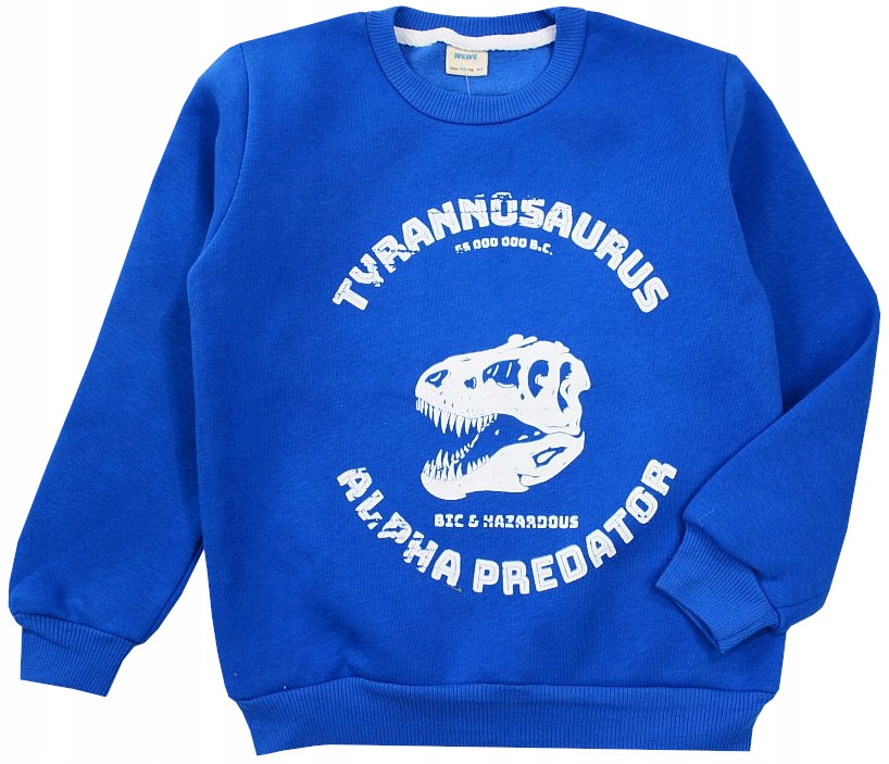

Bluza ciepła gruba Niebieska dinozaur 116 H220D