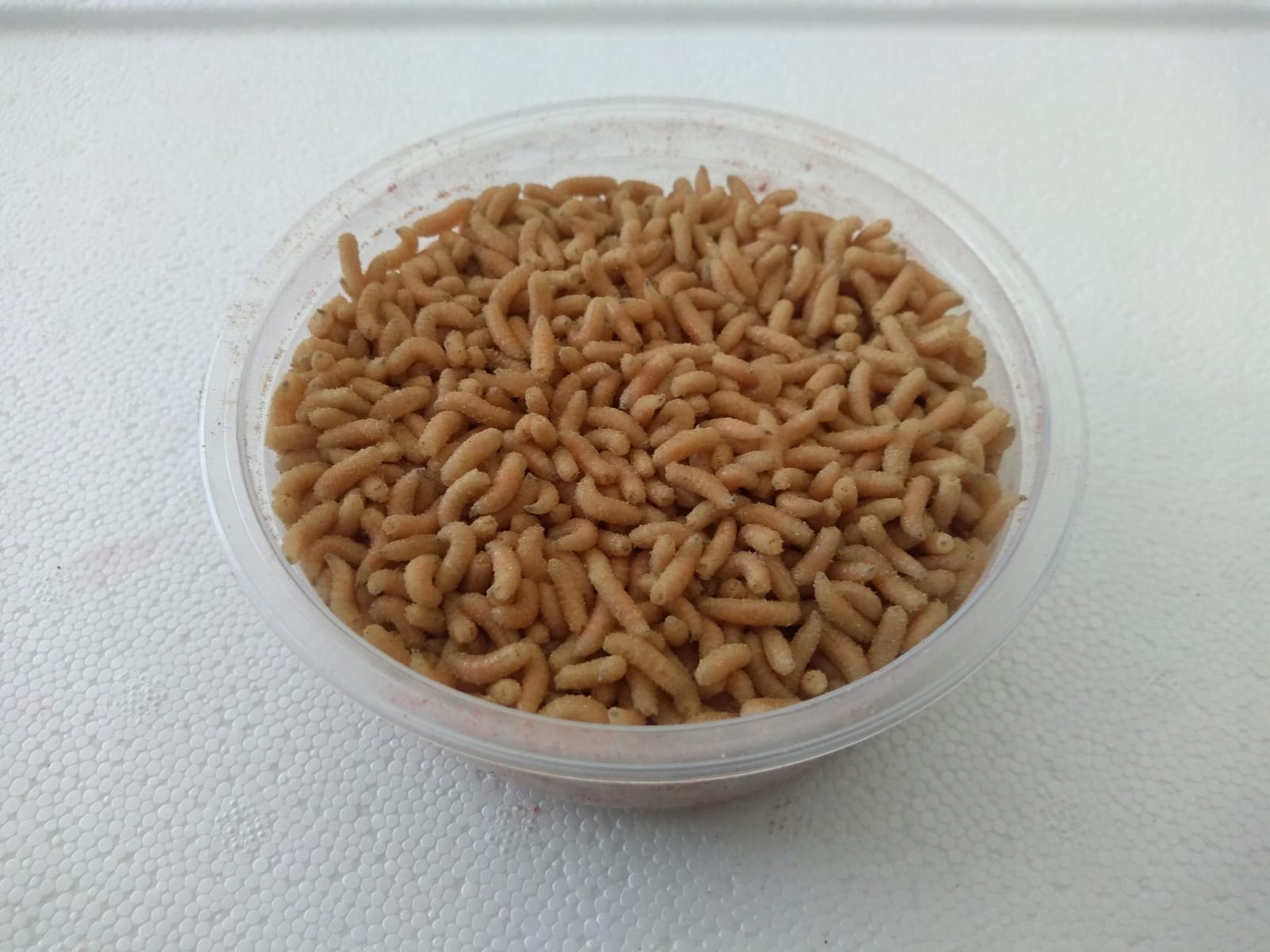 Robak pinka biała 250ml opakowanie