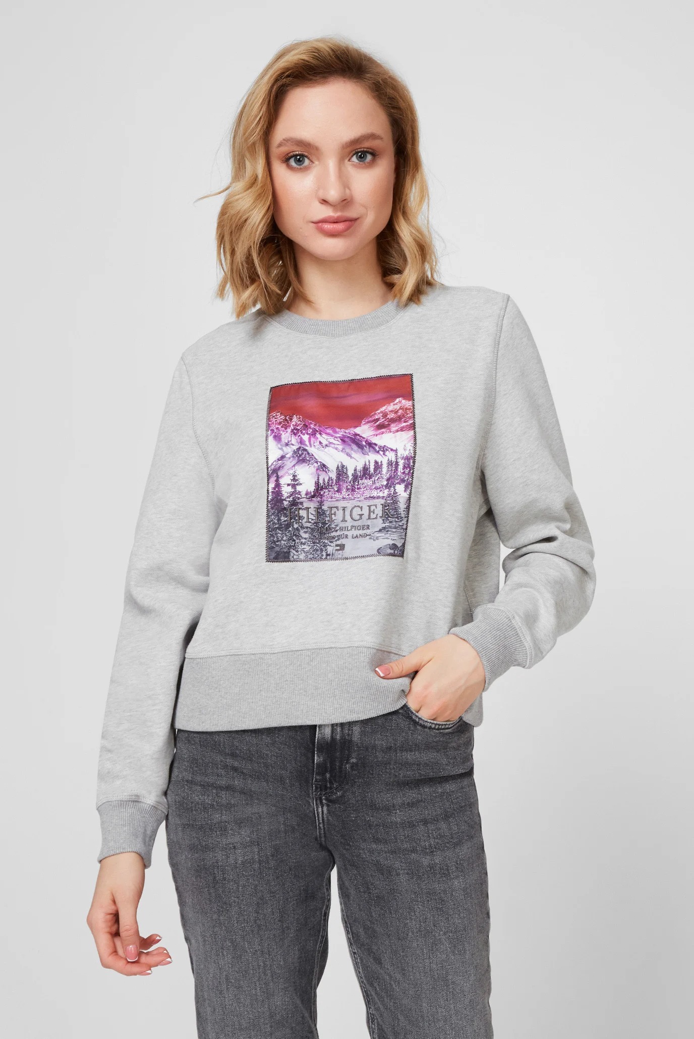 Mikina Tommy Hilfiger Icons Landscape Logo R M
