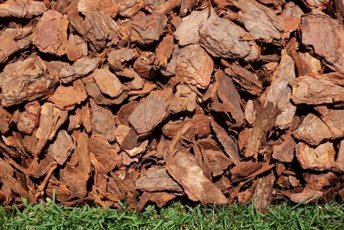 KORA SOSNOWA OGRODOWA GRUBA TORF HUMUS 80L DO ŚCIÓŁKOWANIA PRZECIW CHWASTOM Rodzaj sosnowa