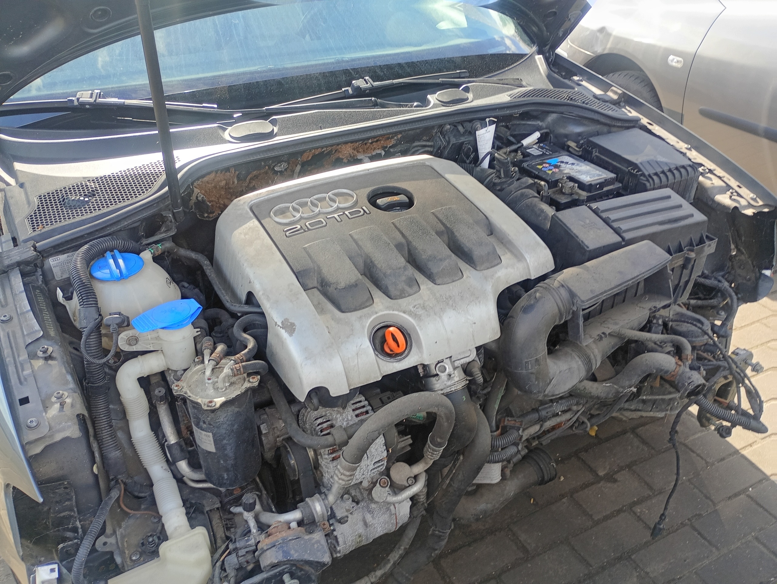 CAMBIO manuale GRF Audi A3 8P 03-12 2.0 TDI przebieg 294172km