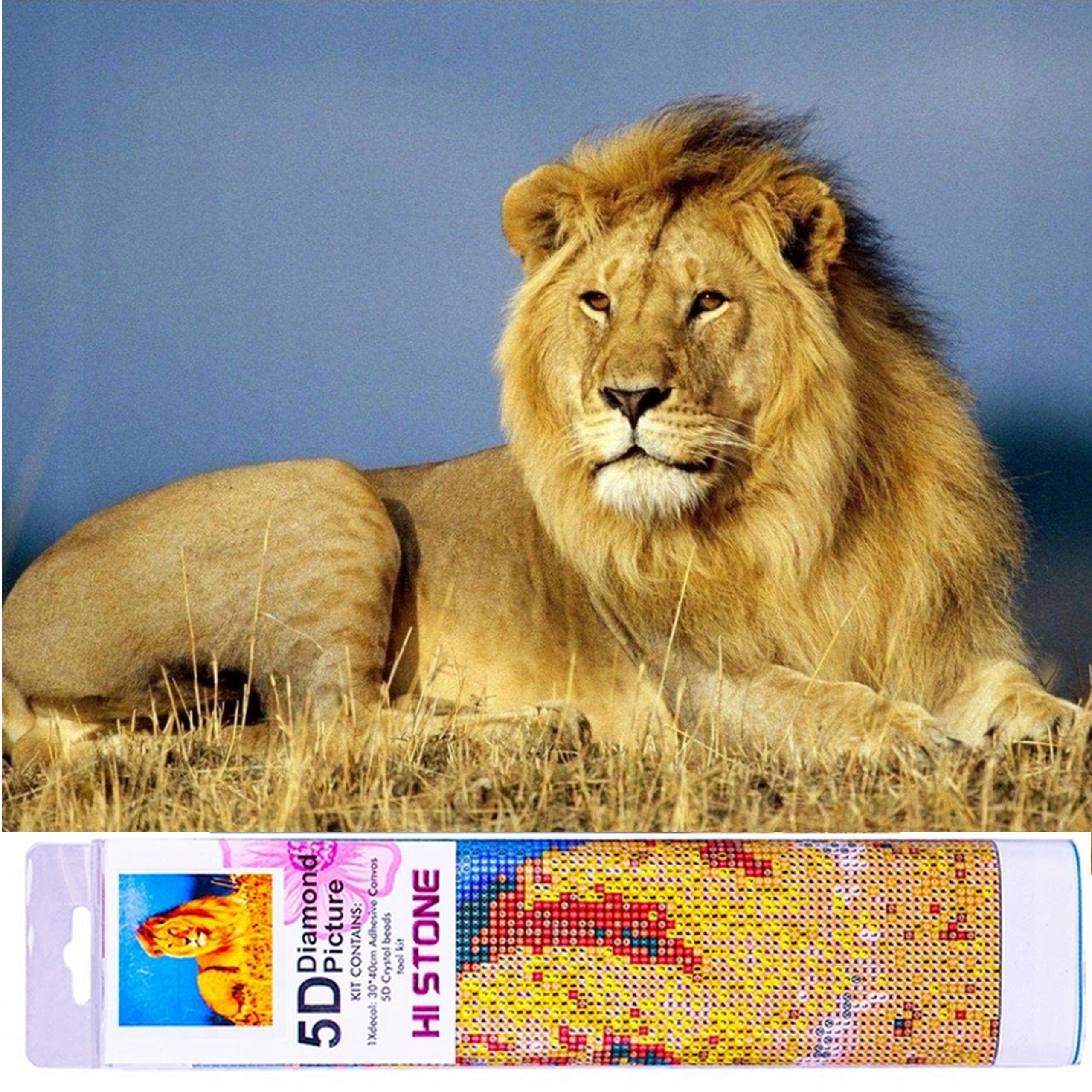 

Diamond Painting Haft Diamentowy Mozaika Zestaw 5D