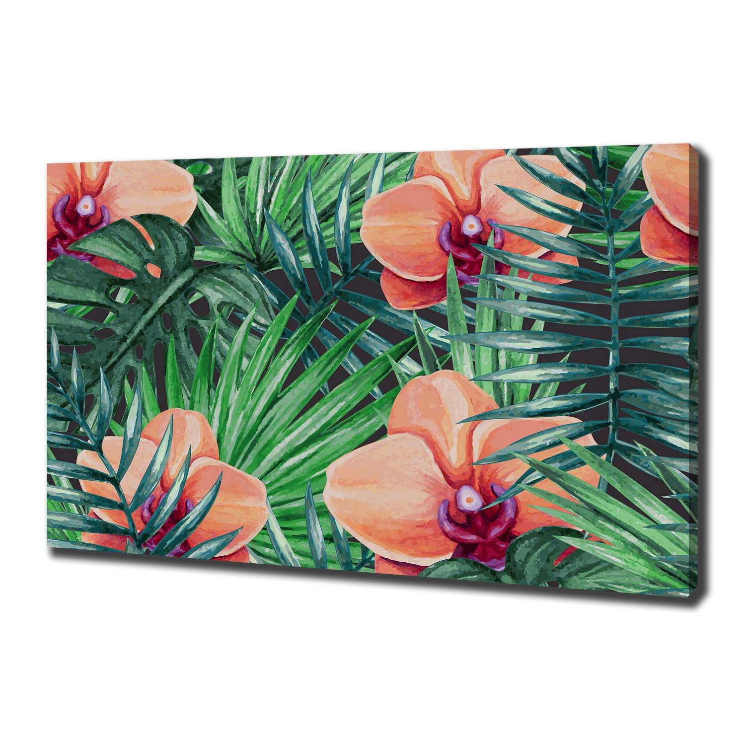 

Foto obraz canvas na ścianę Orchidea 100x70 cm